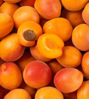 L’Oliveraie du Coudon - ABRICOT POUR CONFITURE 5KG