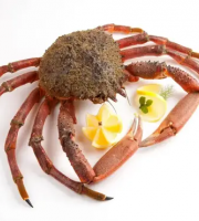 Brest Marée - Araignée Mâles cuites - pièce de 1kg