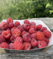 Ferme Sinsac - framboises fraiches