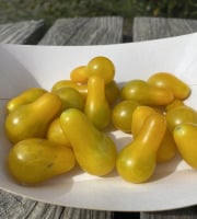 Ferme Sinsac - tomate poires jaunes (barquette de 250grs)