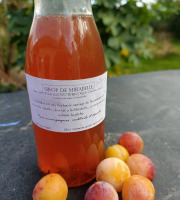 Rébecca les Jolies Fleurs - Sirop de Mirabelle & Algues