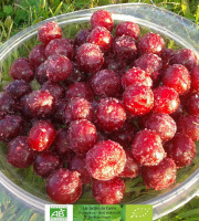 LES JARDINS DE KARINE - Cerise griotte avec noyaux surgelée - 500g