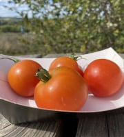 Ferme Sinsac - Tomate Sieger rouge  en barquette de 500grs