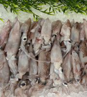 Ocean Frais - Encornet Chipiron nettoyé - lot de 1kilo