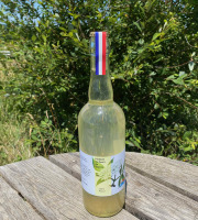 Ferme Sinsac - Lot de 6 pétillants aux fleurs de sureau sans alcool