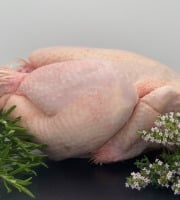 La Ferme d'Autrac - Poulet fermier minimum 2,5 KG