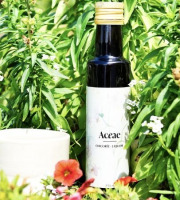 Chicorée Aceae - Chicorée Aceae Bio - Liquide 250 ml