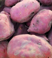 Le Pré de la Rivière - Patate Douce Bio 1Kg - Origine France