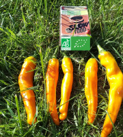 LES JARDINS DE KARINE - Poivron orange pimenté - 100g