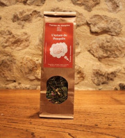 La Ferme DUVAL - Tisane "l'astuce du pangolin " immunité Bio - 25g