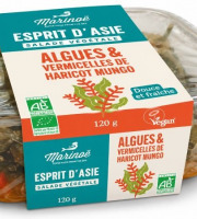 Marinoë - ESPRIT D’ASIE - SALADE VEGETALE : ALGUES ET VERMICELLES DE HARICOT MUNGO BIO