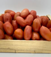 Le Panier du Producteur - Tomate "Roma" - 1 Kg