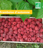LES JARDINS DE KARINE - Framboise d'automne surgelée - 1 kg