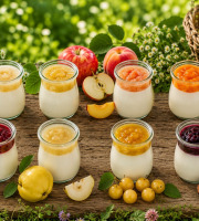 Gaec de l'Elanion - Lot de 16 yaourts mélangé spécial fruit du verger