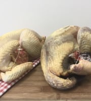 Ferme de Calès - Lot D'un Poulet De 1.9kg Et D'une Pintade De 1.8kg