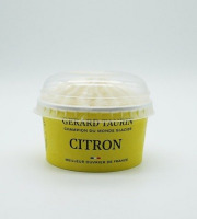 GT Designer Glacier - Sorbet Citron 80ml