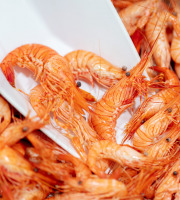 Poissonnerie La Piriacaise - crevettes roses de pays cuites