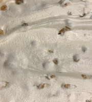 Glaces de Meuse - Crème Glacée "Rhum & Raisins" - 360g