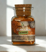 Adal Terra - Epices - Curcuma Biodynamique (en poudre) 60G