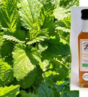 L'Agricueilleur du Suzon - Sirop de Mélisse BIO - 25cl