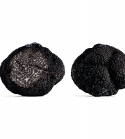 Domaine de Vielcroze - [Précommande] Truffe Noires Fraiches Entières Du Périgord Tuber Mélanosporum - 1ère Catégorie