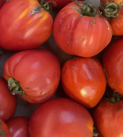 Des Poules et des Vignes à Bourgueil - Tomates pour sauces, salades