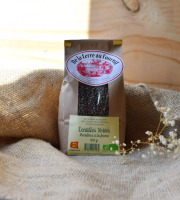 Dégustonfoin - Lentilles Vertes BIO - 500g