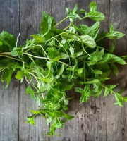 Eauzons ! - Menthe marocaine