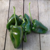 HERBA HUMANA - Piment frais Ancho Poblano Chile 400g