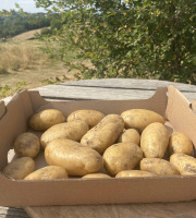 Ferme Sinsac - Pomme de terre nouvelle en sachet de 500 grs