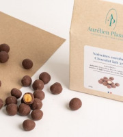 Aurélien Plassard Chocolatier - Noisettes enrobées lait 37%