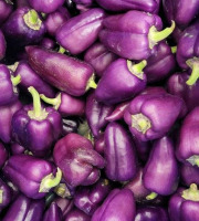 ChâteauFer - Poivrons doux - Paprika 1kg