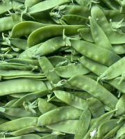 Domaine Reverchon - Pois gourmand 500gr