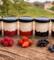 Gaec de l'Elanion - lot de 10 fromages blancs fruits rouge