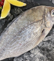 Notre poisson - Dorade Grise écaillé vidé 300/500g en lot de 2kg