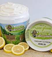 La Ferme de Labergement - Crème glacée 500 ml Menthe/chocolat - lot de 10 pots