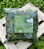 Agriloops - Laitue & Betterave Bretonnes 4 x 150 g