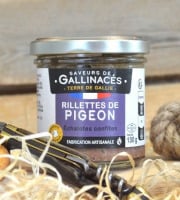 Terre de Gallie - Rillettes de pigeon aux échalotes confites x 20