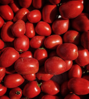 La Ferme d'Artaud - Tomates Italiennes 5kg
