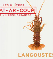 Huîtres Prat-Ar-Coum Alain Madec - langouste  rouge royale 1 kilo1k3