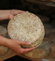 Domaine du Catié - Tomme de la Montagne Noire au lait cru entier Bio