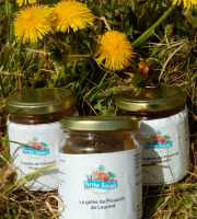 Ferme Sinsac - Miel de pissenlit