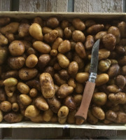 Nature et Saveurs - Ferme Aquaponique et Permacole Astérienne - Pomme de terre Grenaille - 1Kg