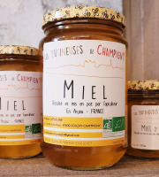 Les Butineuses de Champigny - Miel d'acacia bio - 1000g