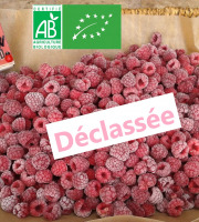 LES JARDINS DE KARINE - Framboises surgelées déclassées à cuire - 1kg