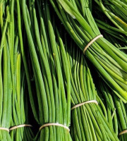 Nature et Saveurs - Ferme Aquaponique et Permacole Astérienne - Ciboulette fraîche – fine, parfumée, irrésistible