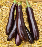 La Ferme de Goas Per - Aubergine violette Bio - 300g