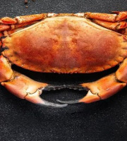 Brest Marée - Tourteaux Mâles - pièce de 900g