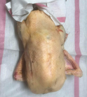 Des Poules et des Vignes à Bourgueil - [Précommande] Canard  gras non vidé , avec foie gras