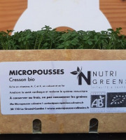 Ma Micropousse culinaire - Micropousses de cresson Bio 16 barquettes